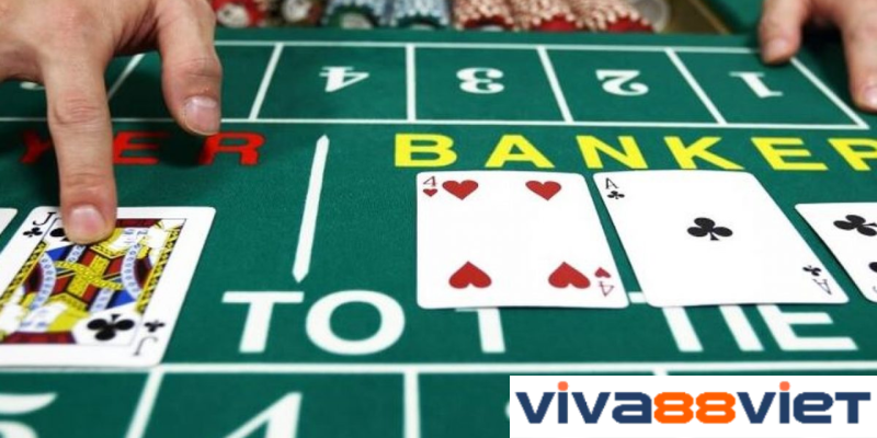 Các thuật ngữ thường gặp trong Baccarat Viva88