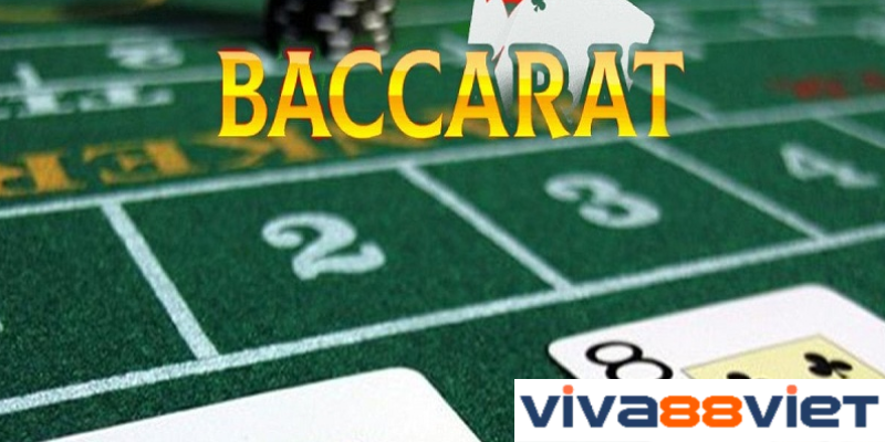 bài baccarat viva88