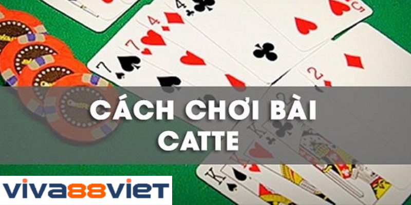 Luật chơi đánh bài Catte đơn giản nhất