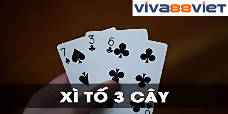 Bài Tố 3 Cây Viva88