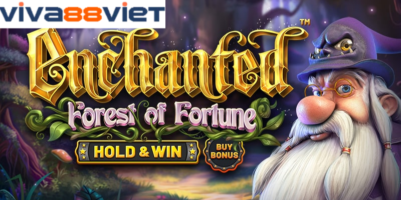 Lưu ý khi chơi enchanted forest of fortune Viva88