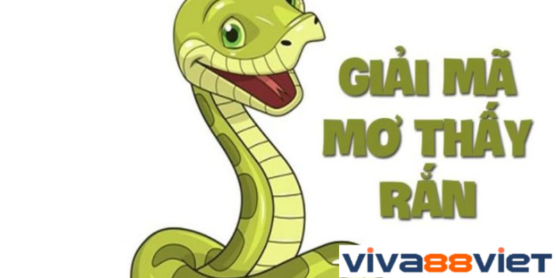 Giải mã bí ẩn các giấc mơ về rắn