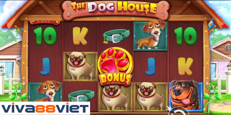 Những điểm đáng chú ý khi tham gia trò chơi thú vị The Dog House