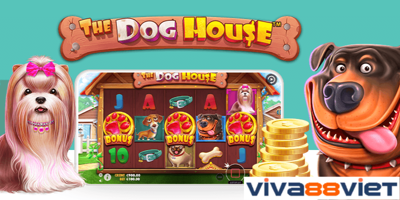 The Dog House - Ngôi nhà của những chú chó 